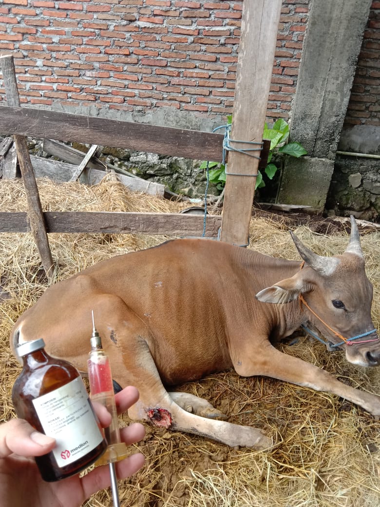Simbal